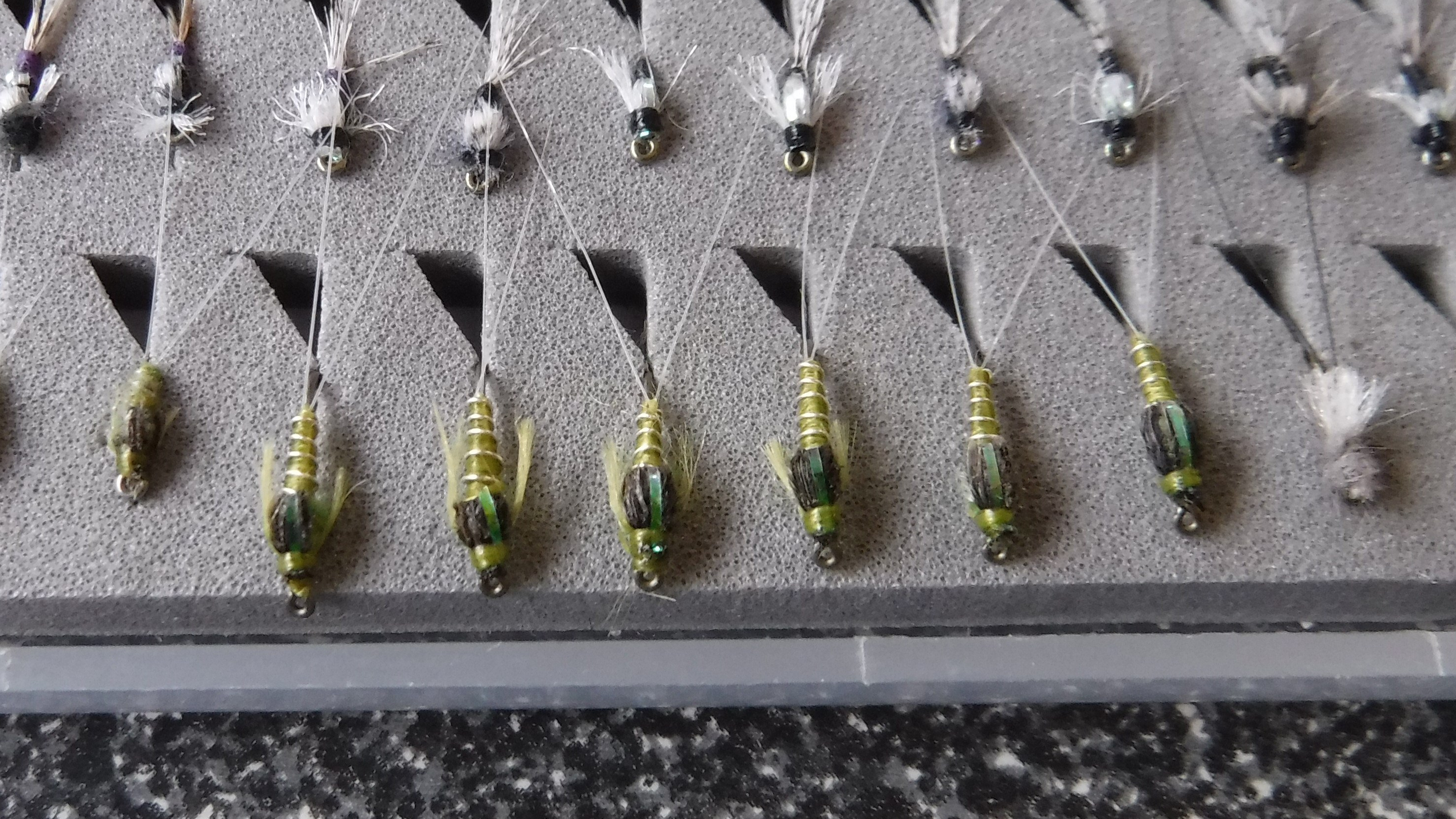 BWO Baetis