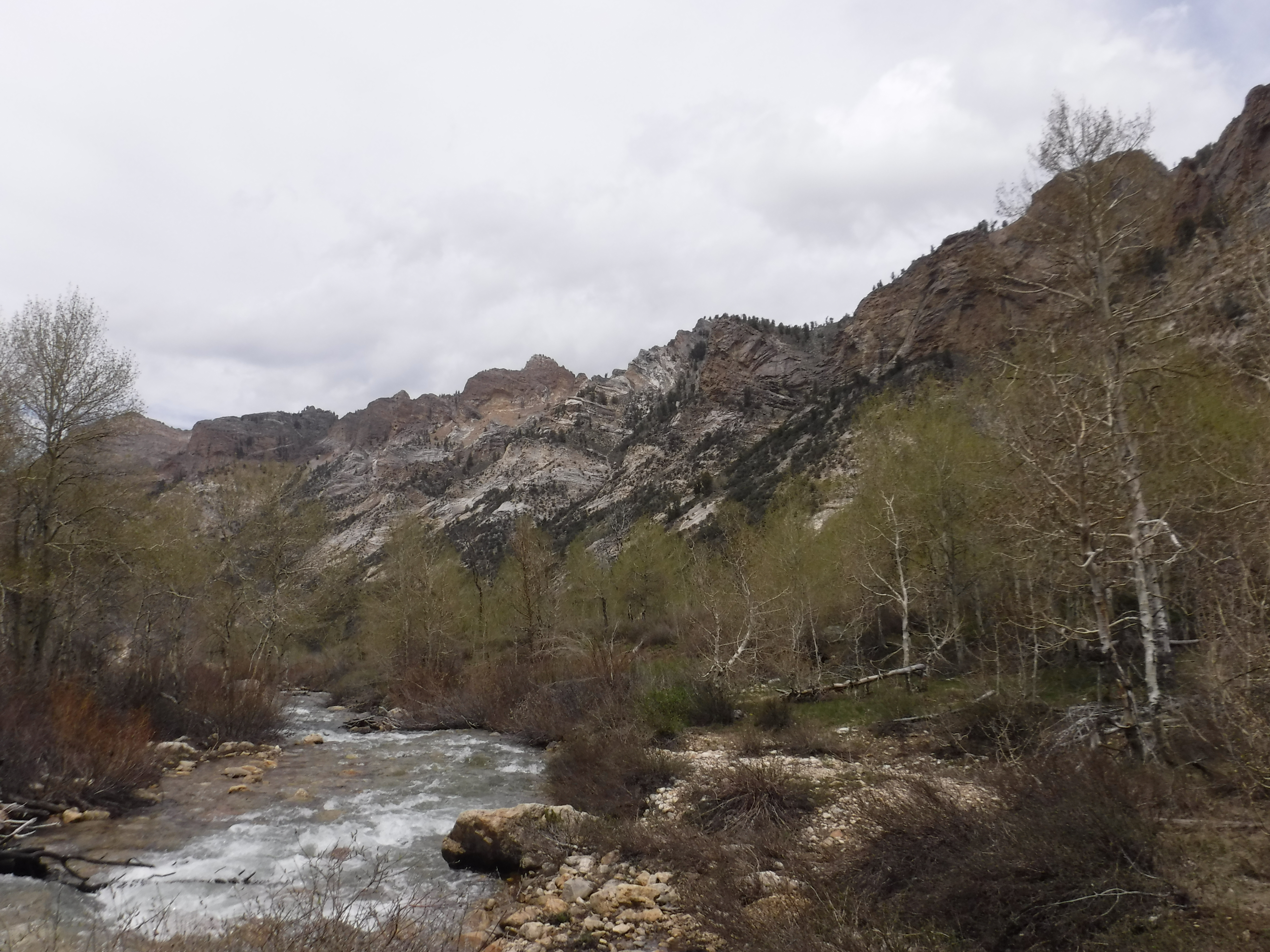 The creek below Hanging Canyon