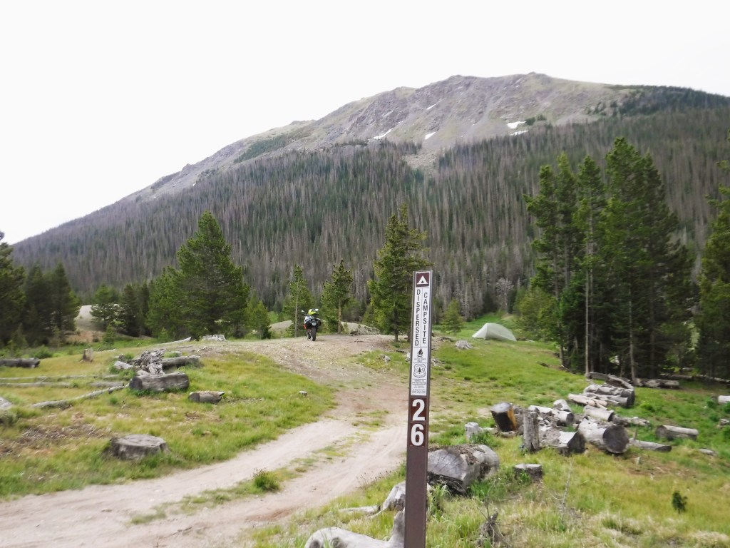 Long Draw dispersed campsite 26