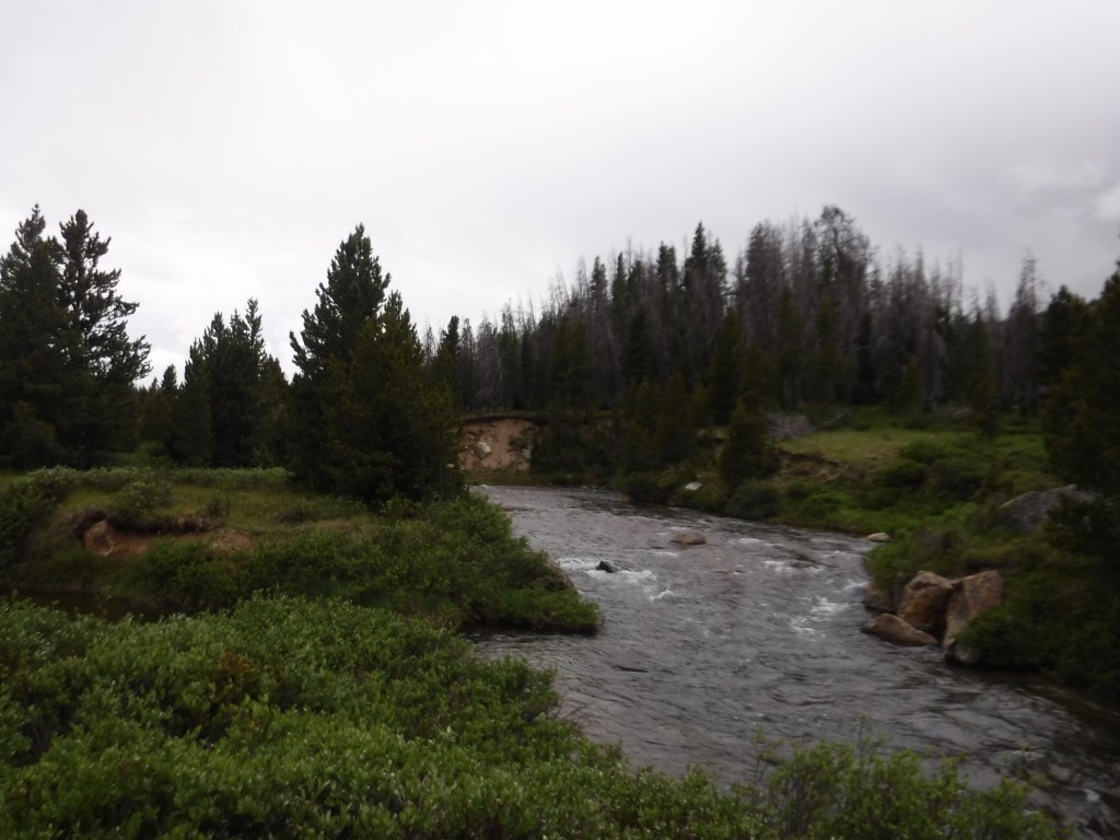 A section of Long Draw creek, Colorado
