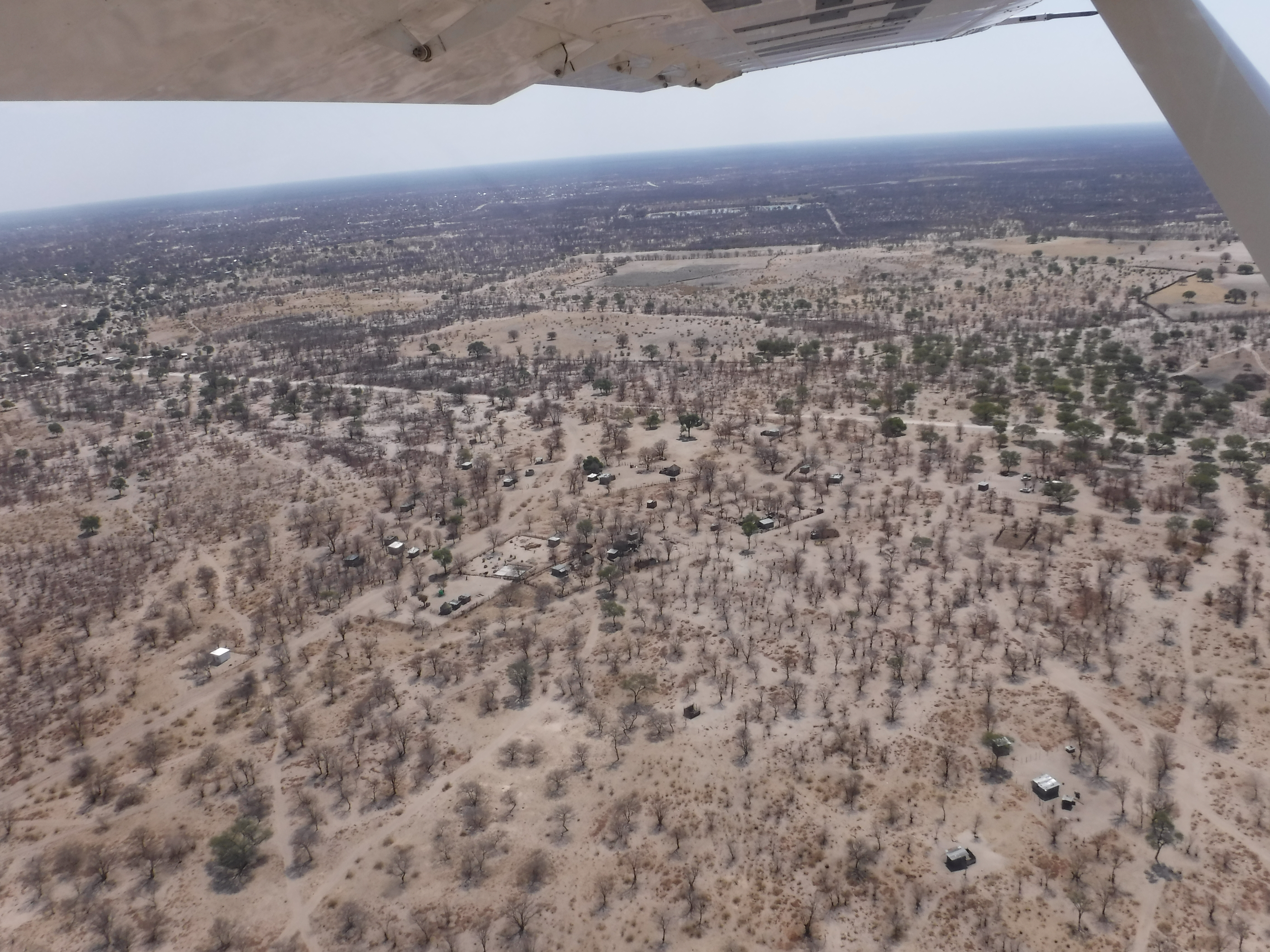 Extreme Drought Landscape