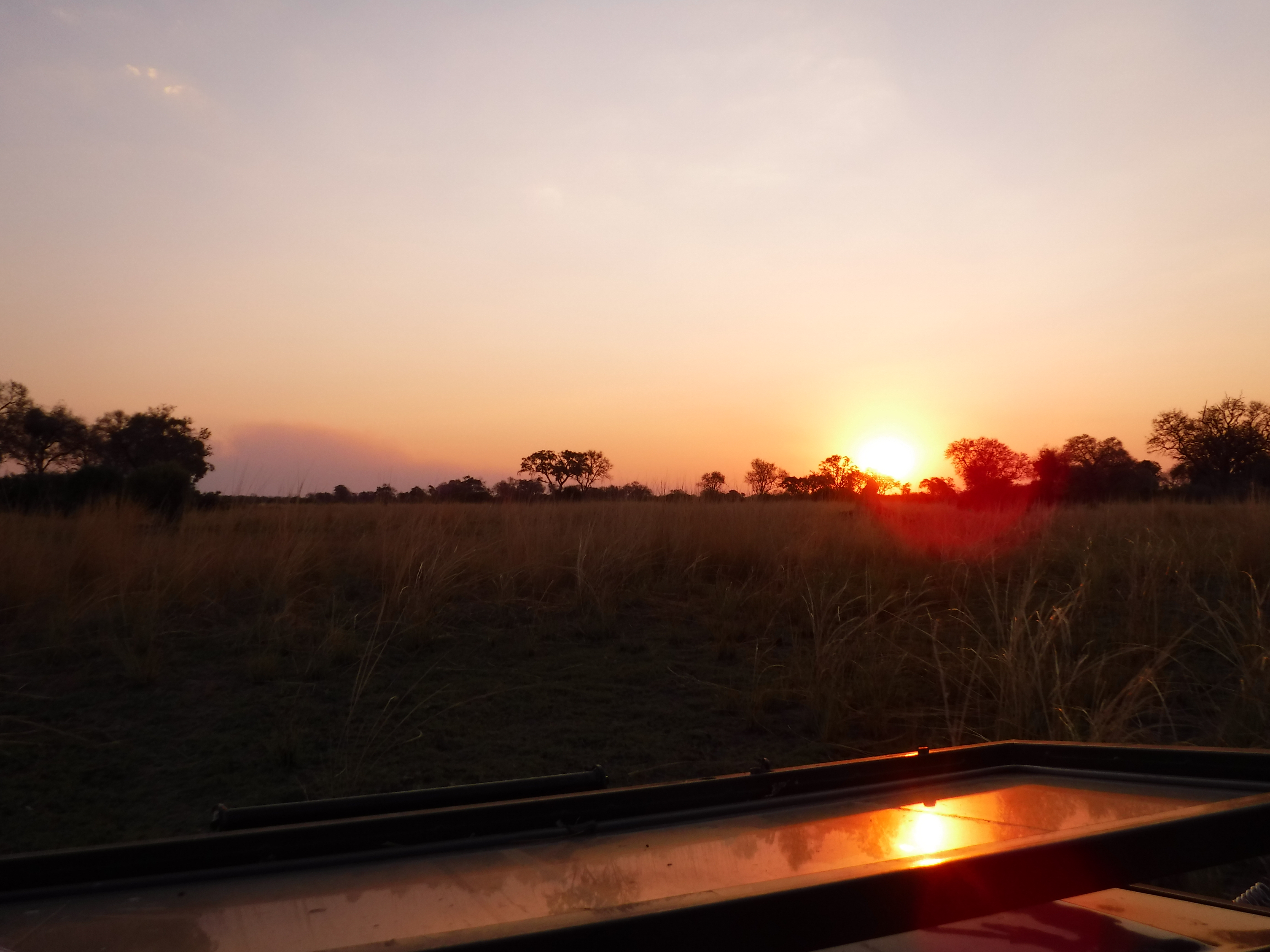 Sunset Over the Delta