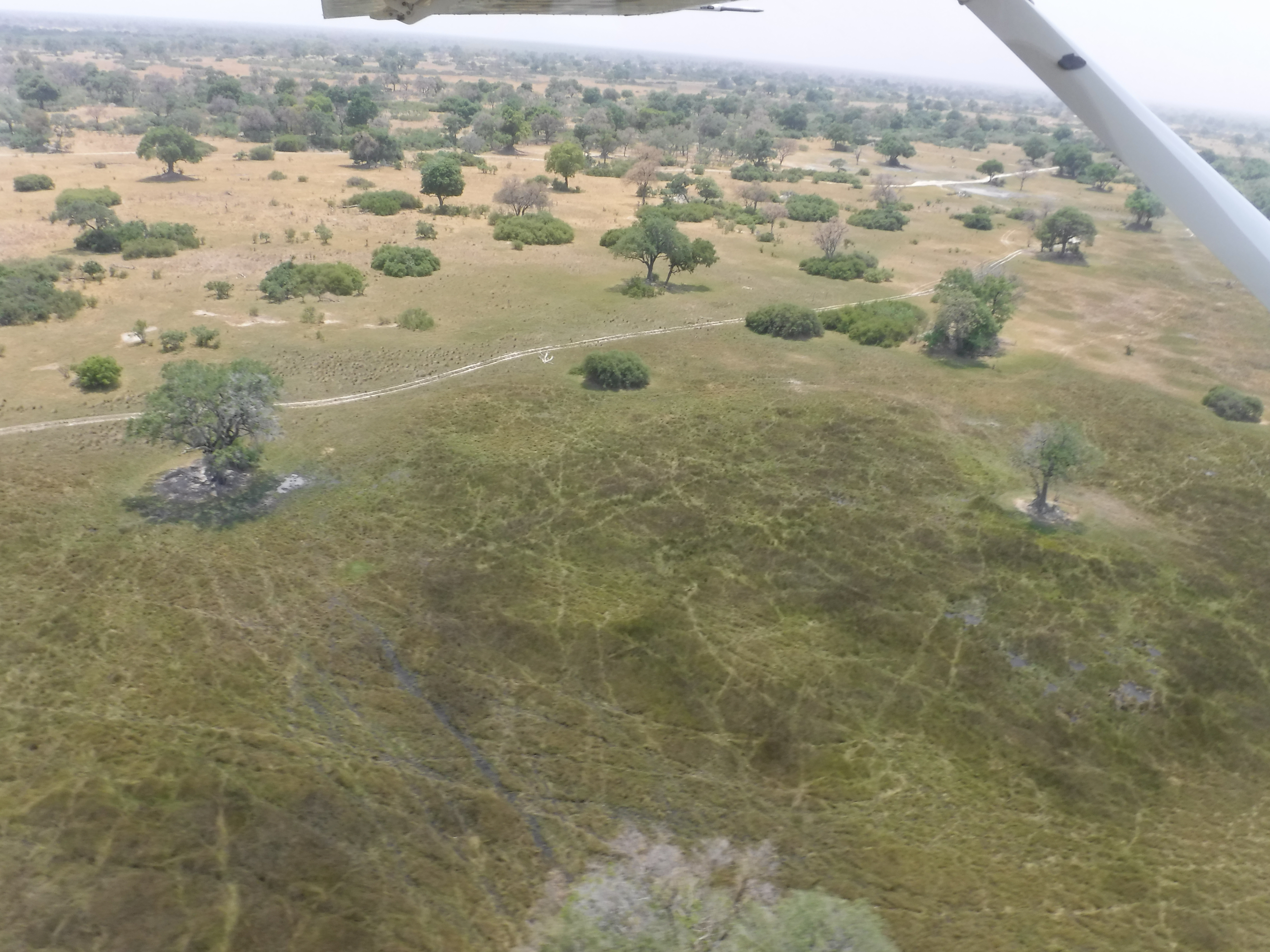 Flying Out of Kadizora