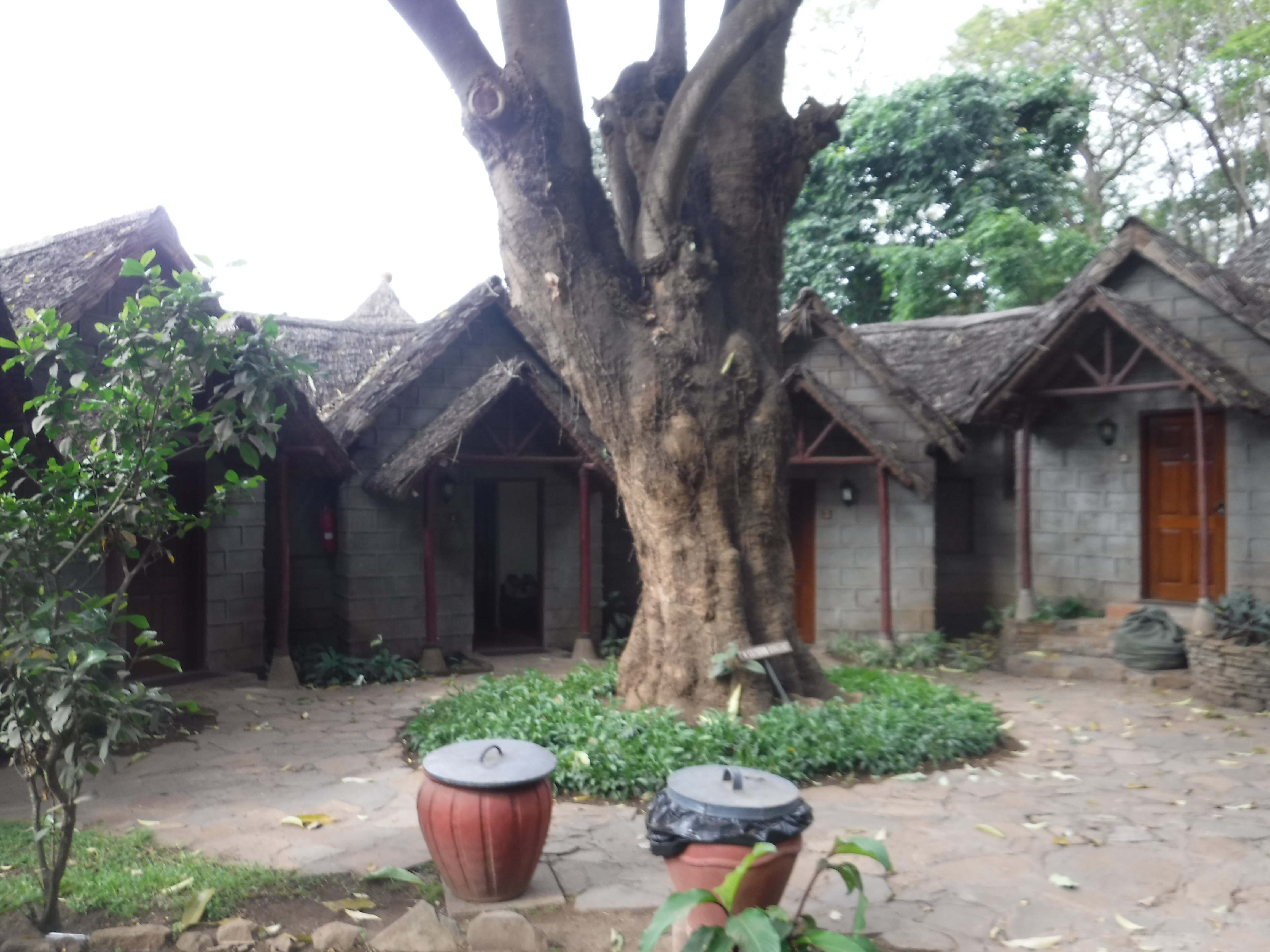 Lake Duluti Serena Hotel cottages.