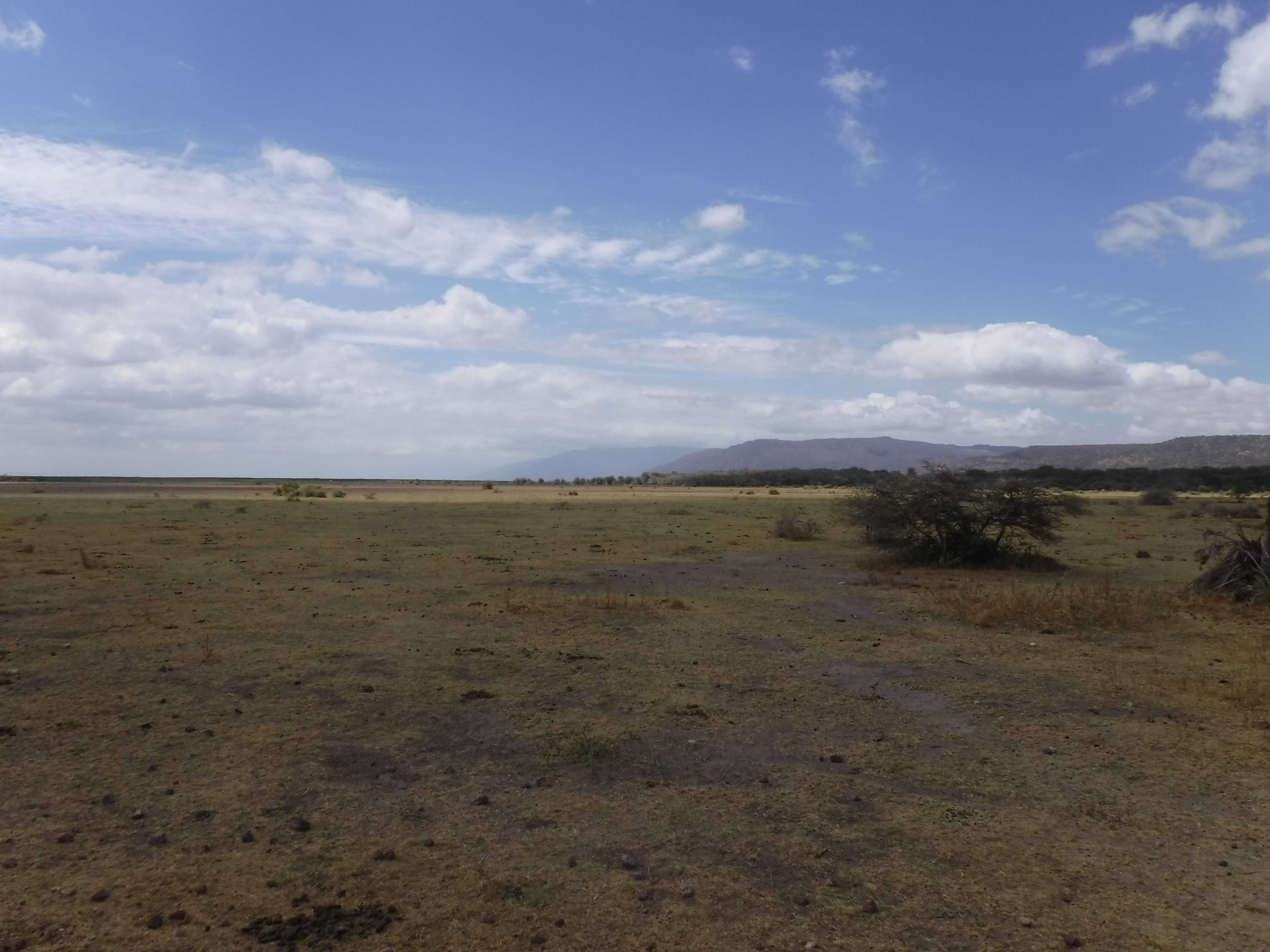 The Manyara Plain