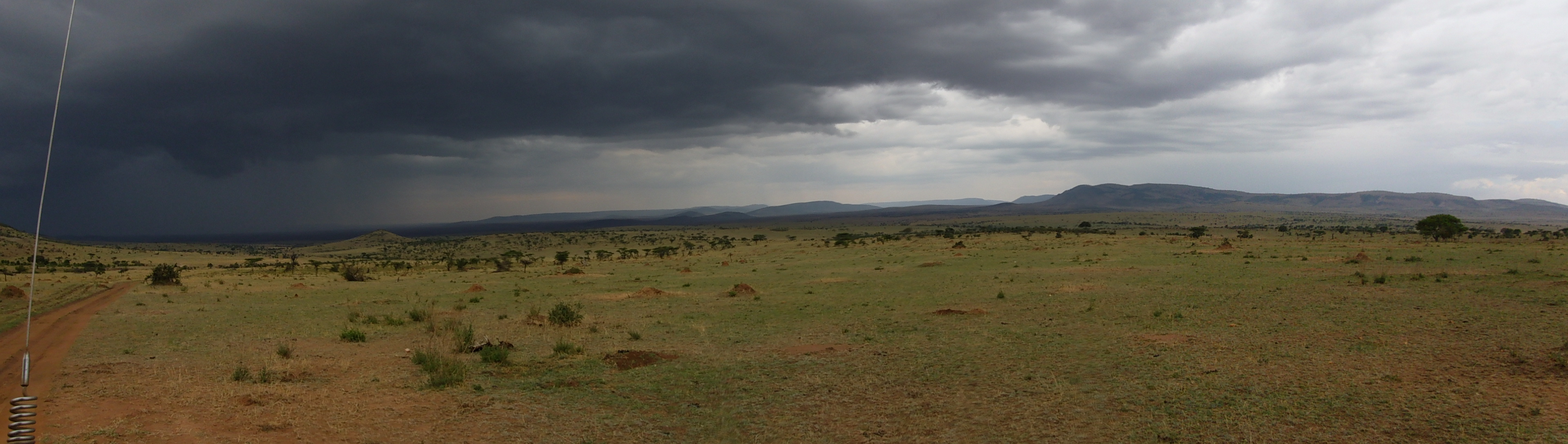 Serengeti Thunderstorm