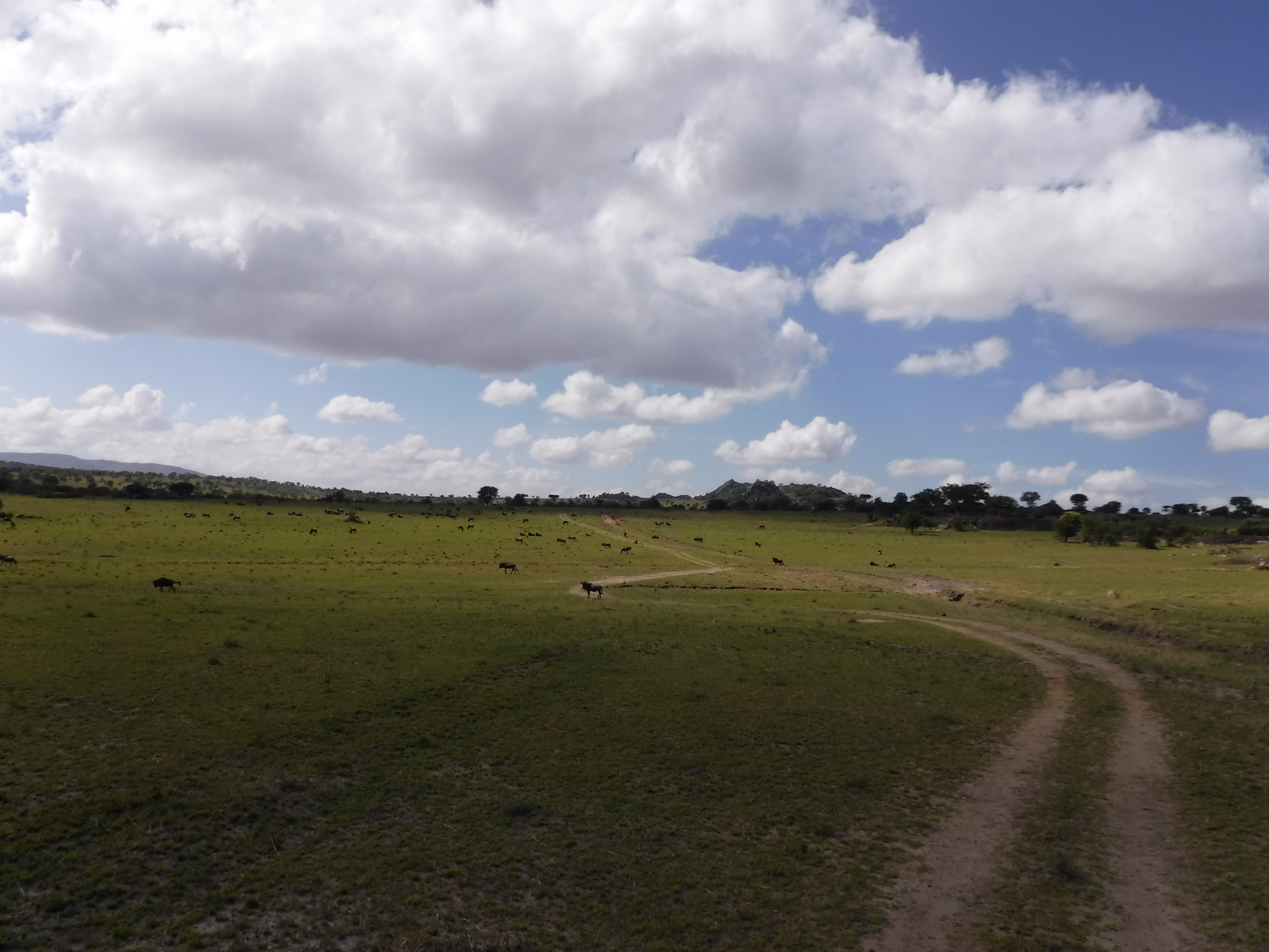 On the way to the Lobo airfield.