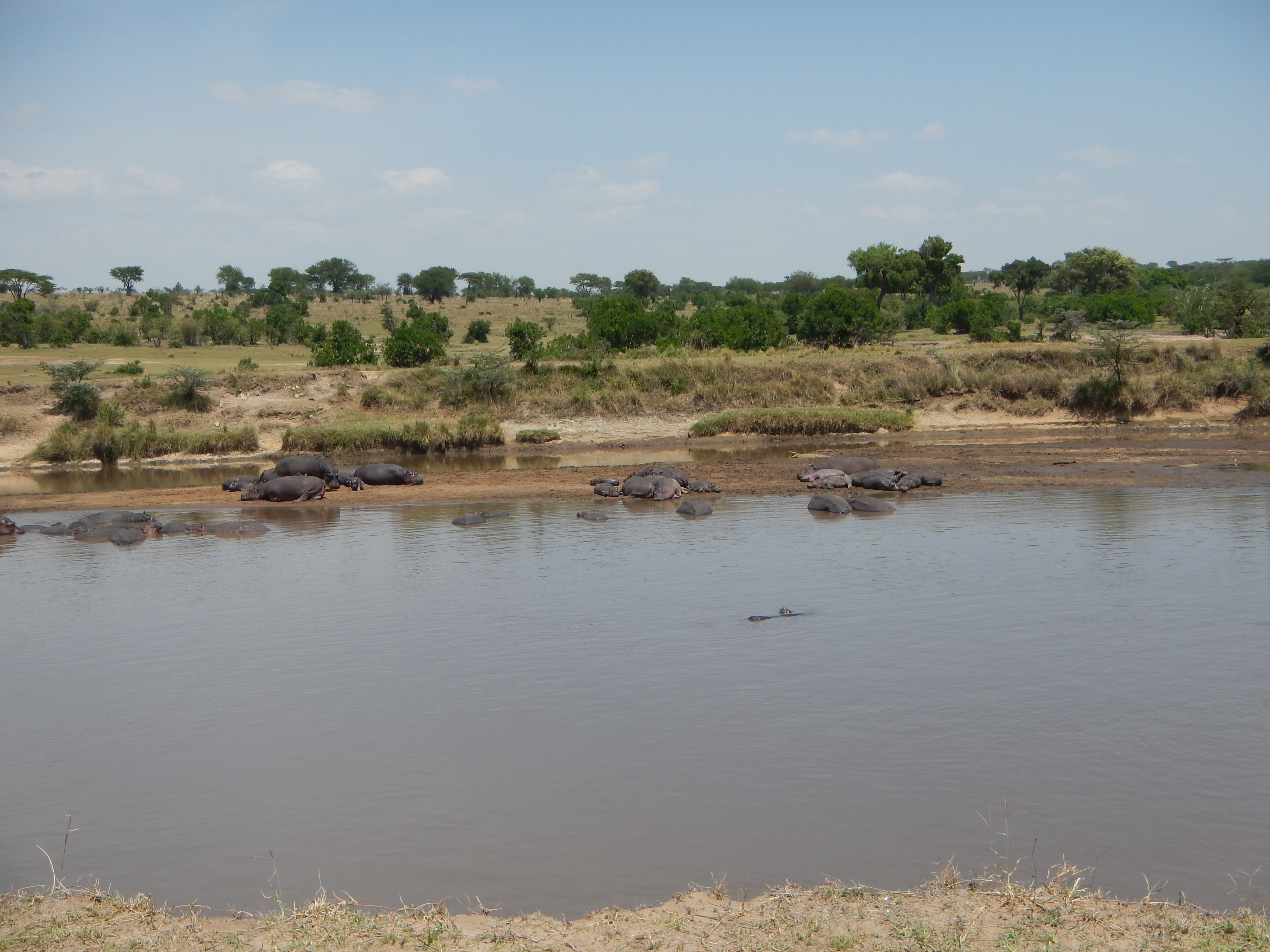 Quiet Mara River