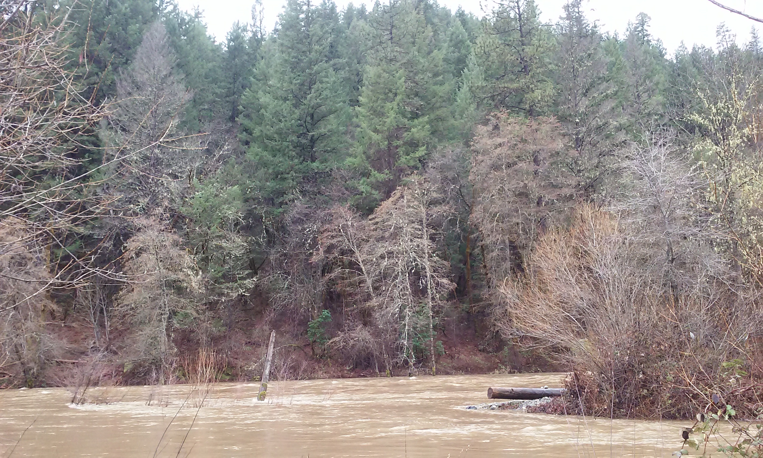 High Water at Steiner Flat