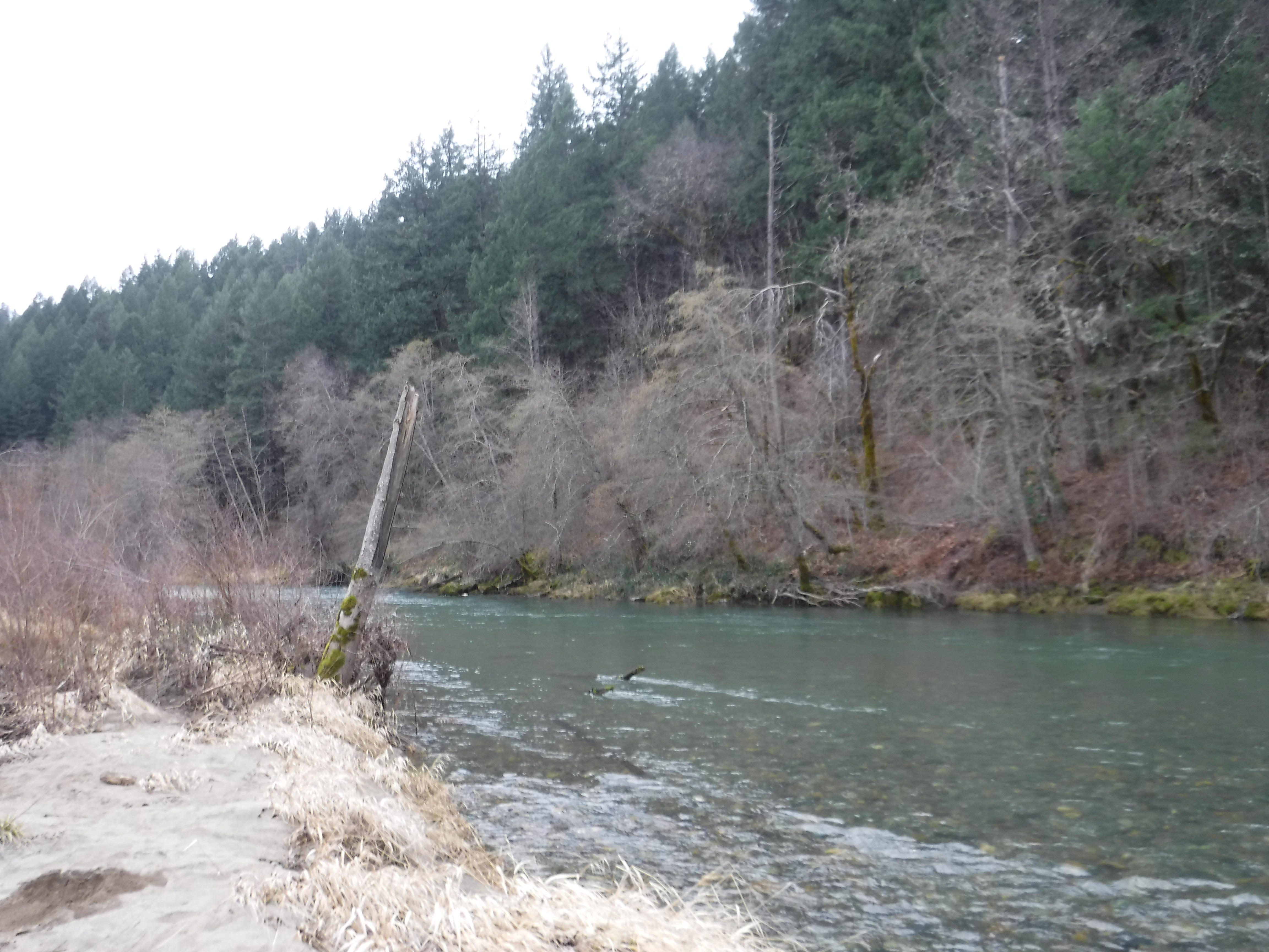Green Water in the Trinity River