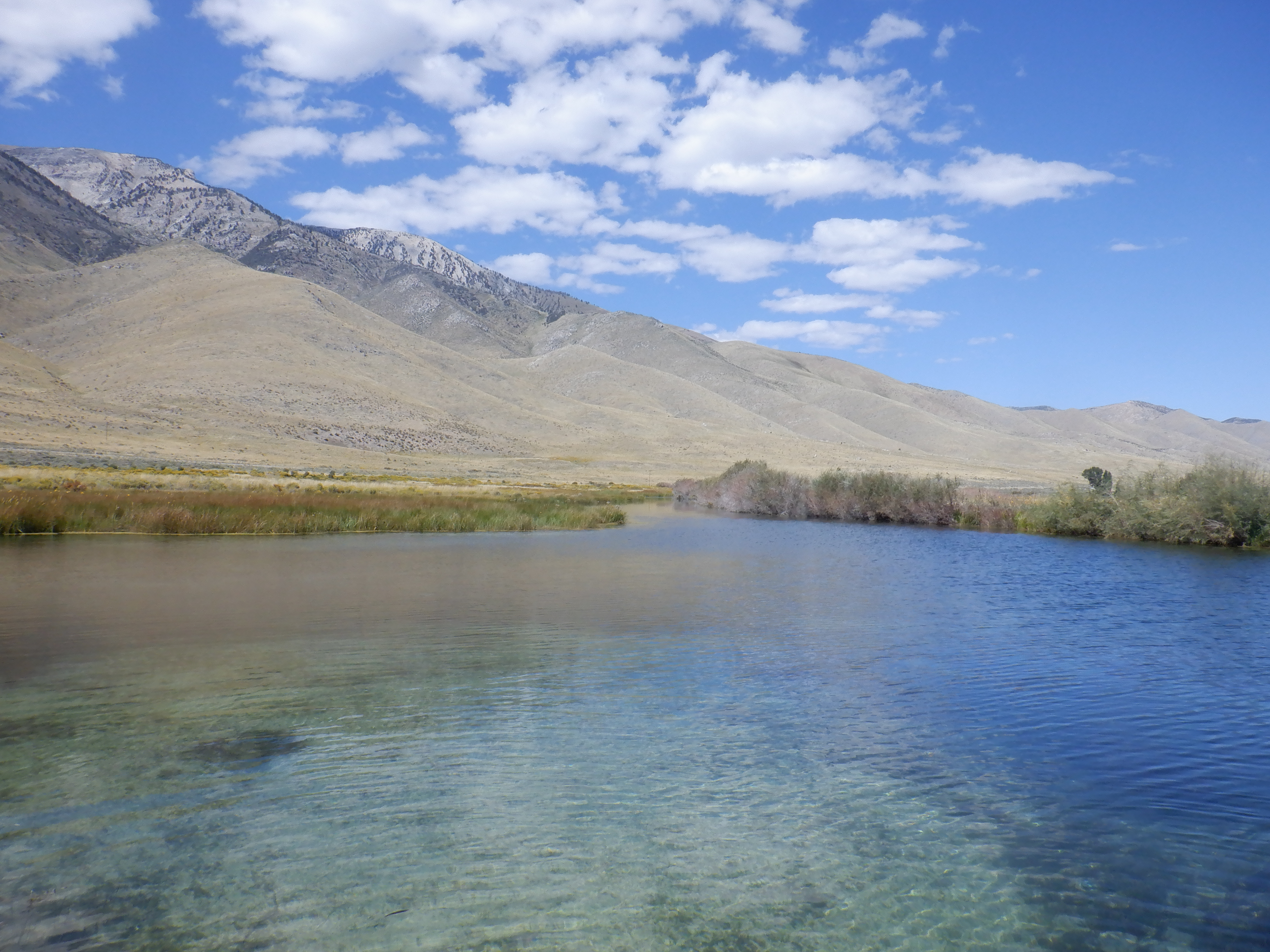 Passey Springs from the south