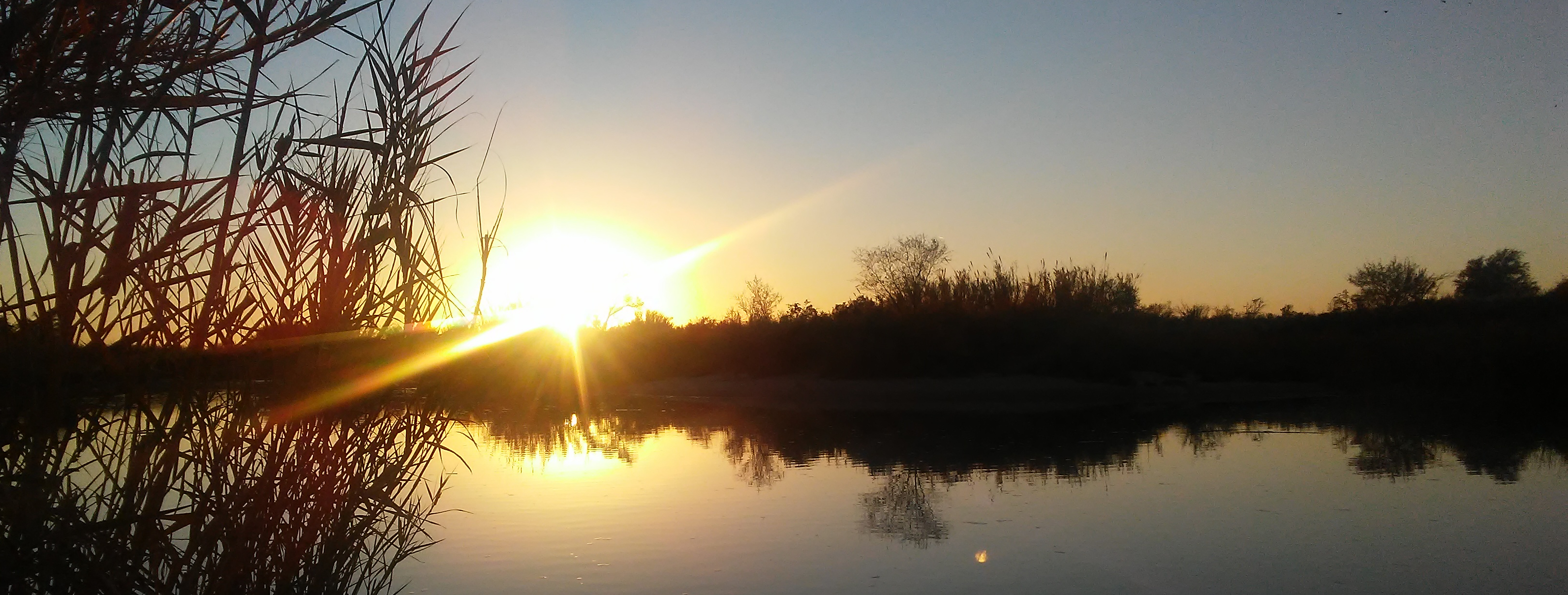 Ehrenberg Thanksgiving