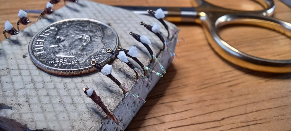 Foam Back RS2s with Flash Tails