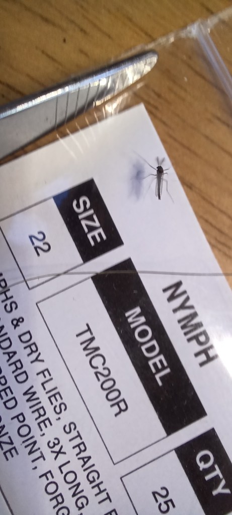 Adult Midge on the Table