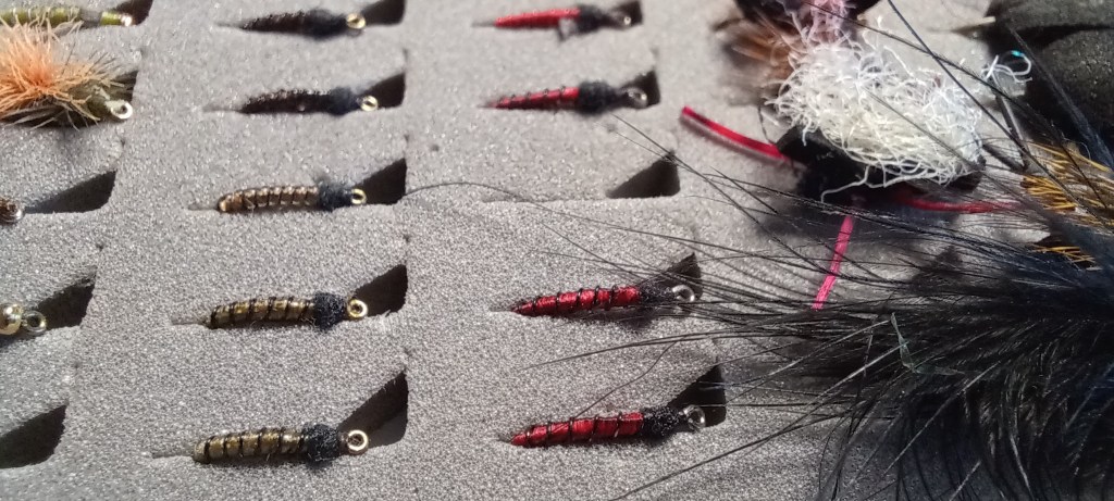 San Juan Fly Box, Annelids