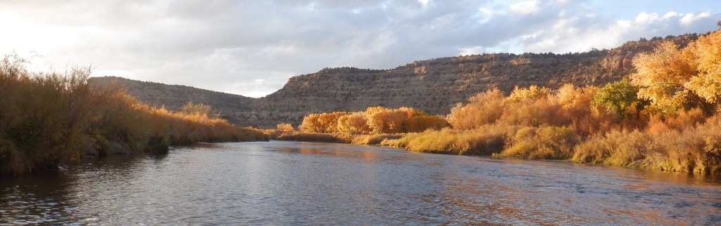 Lunker Alley, San Juan River