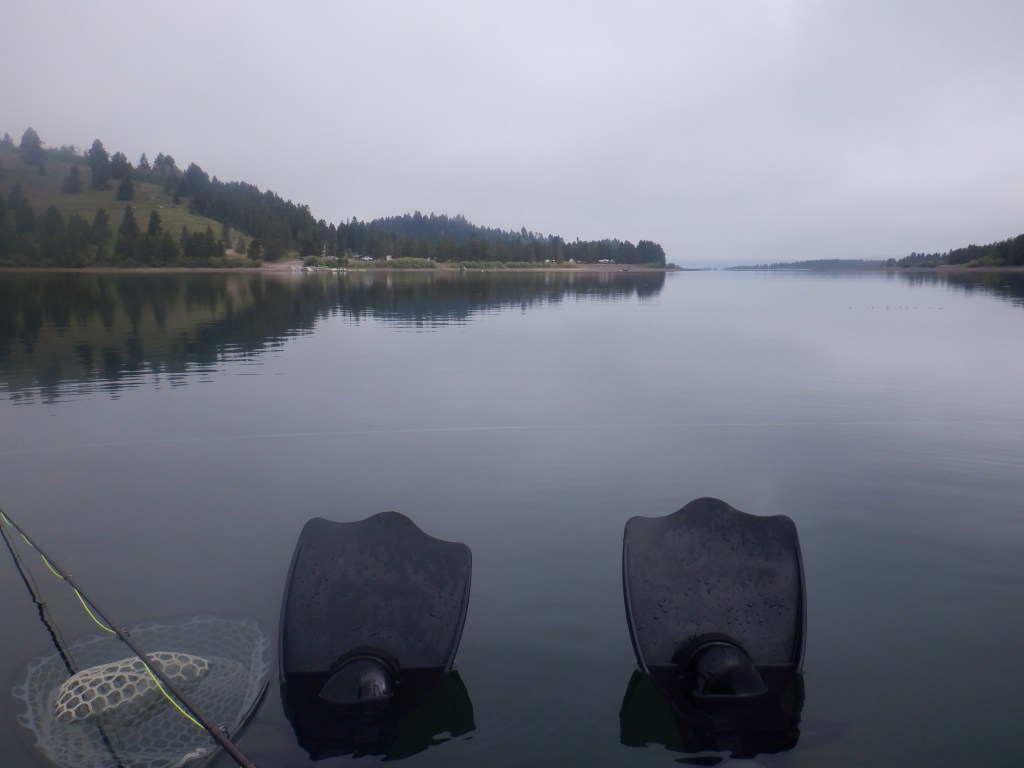 The South Fork arm of Hebgen Lake