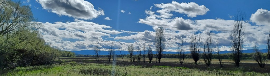 A Spring Sky in Norcal