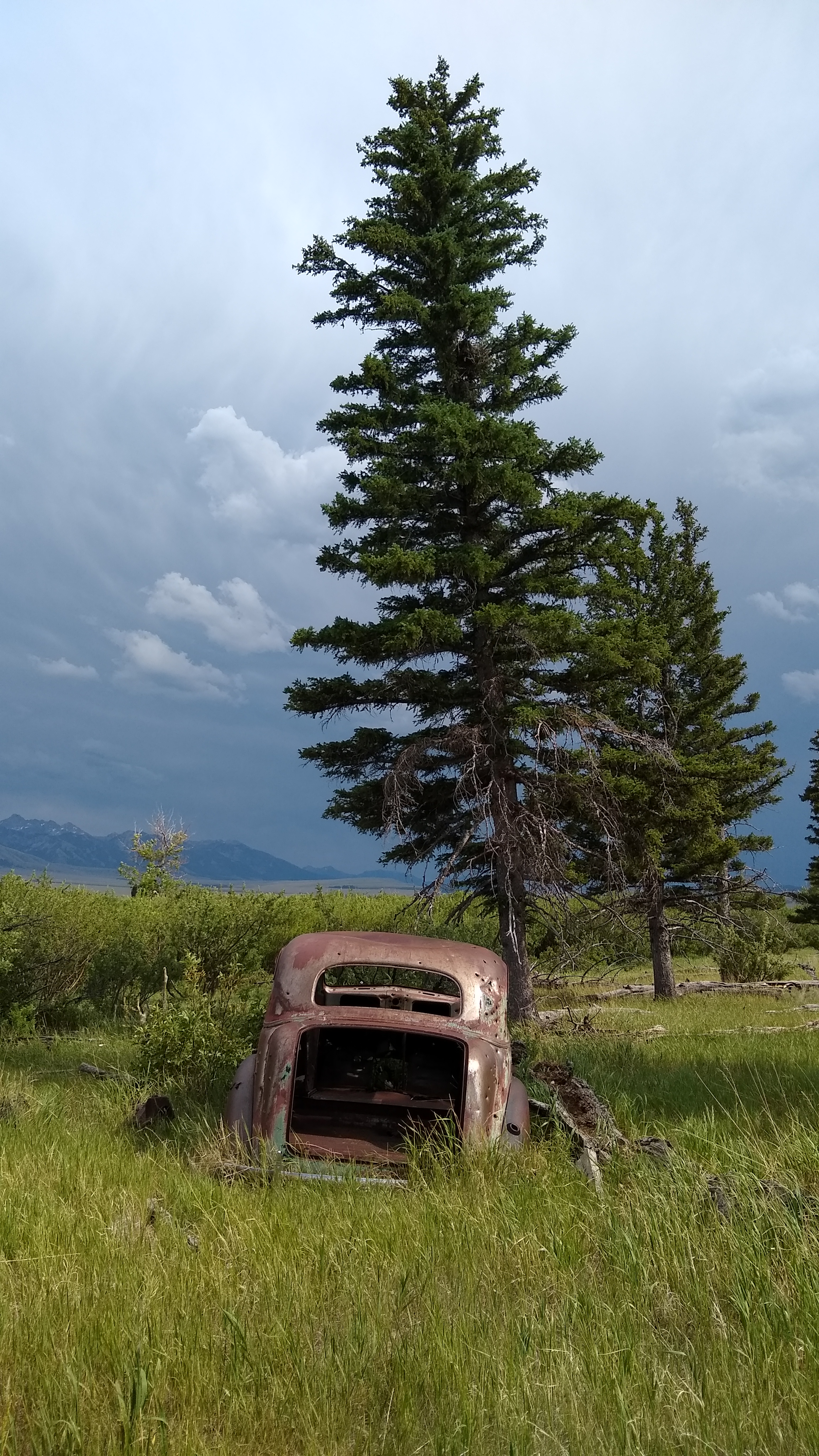 Rusty Abandoned American Car