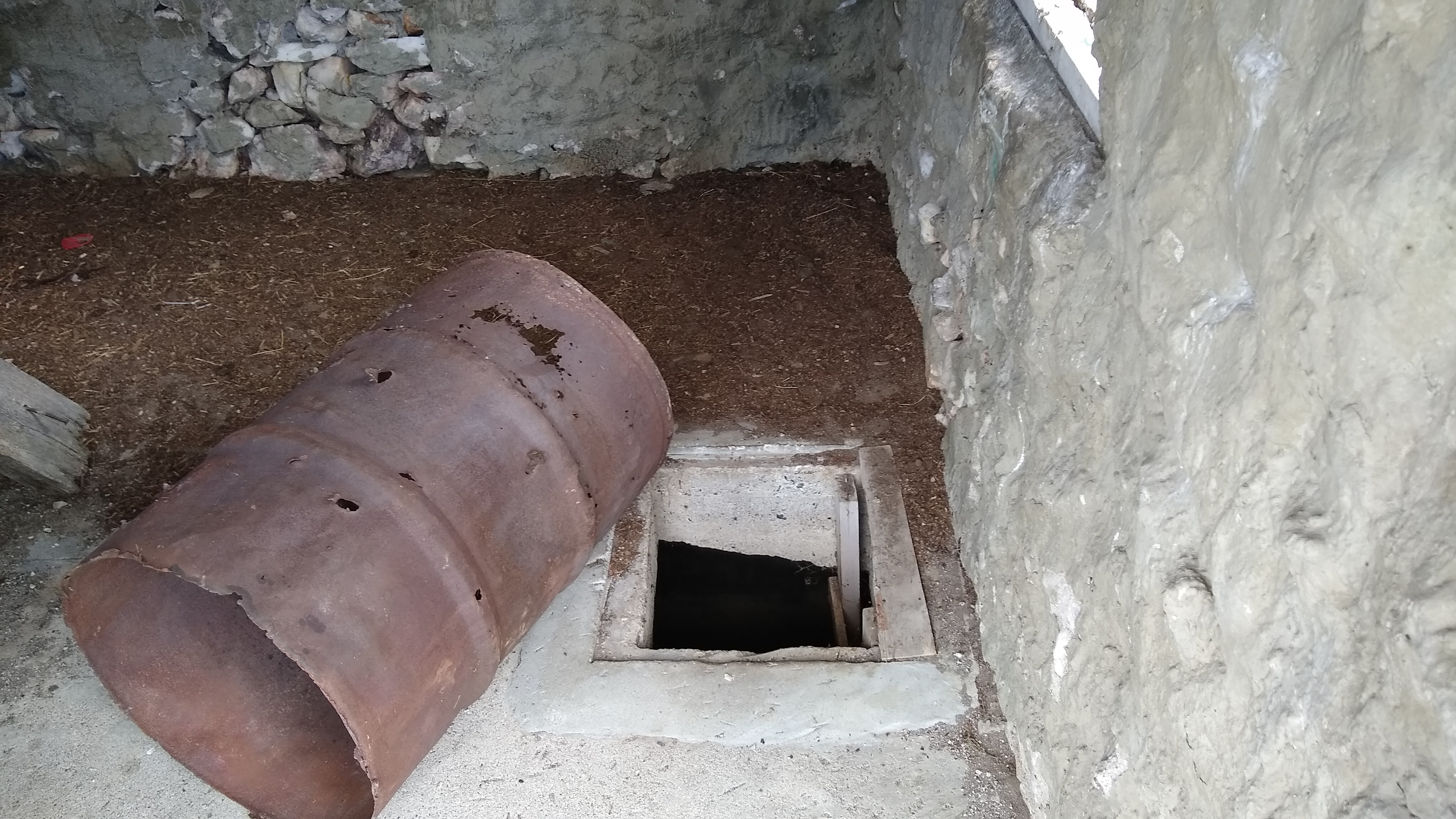 Entry to the Root Cellar