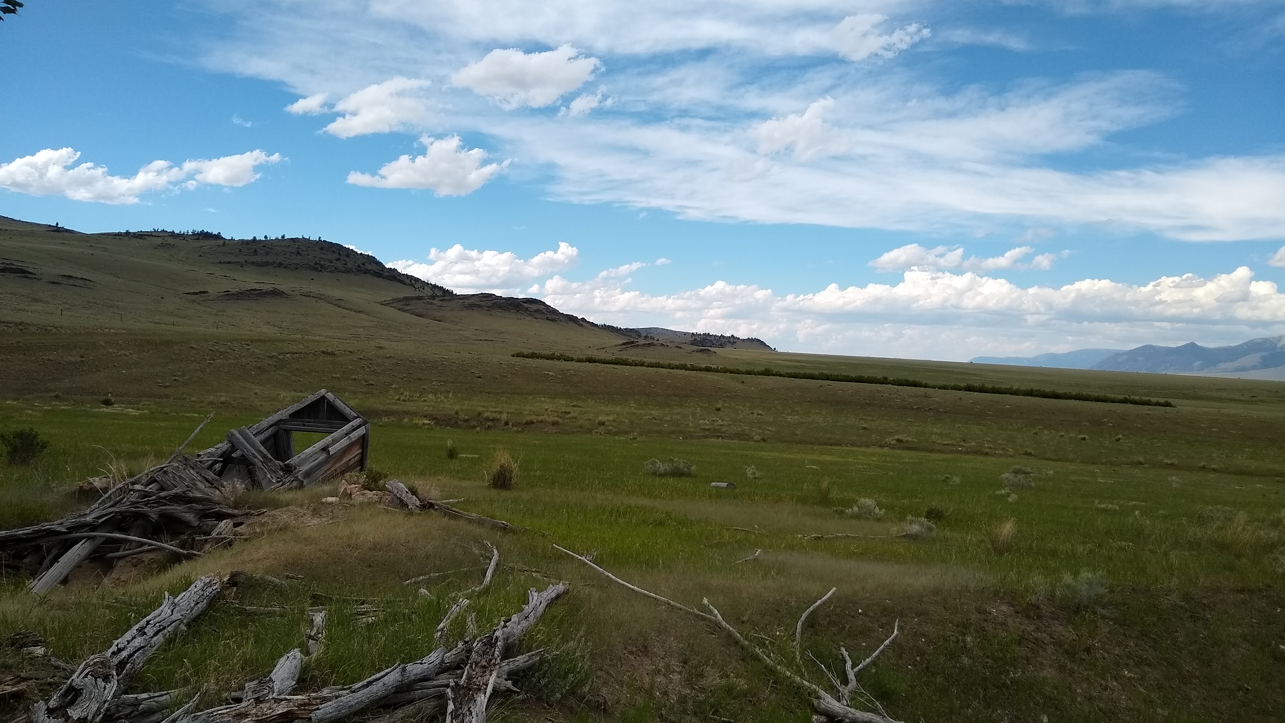 An engineered wind break amidst ruins