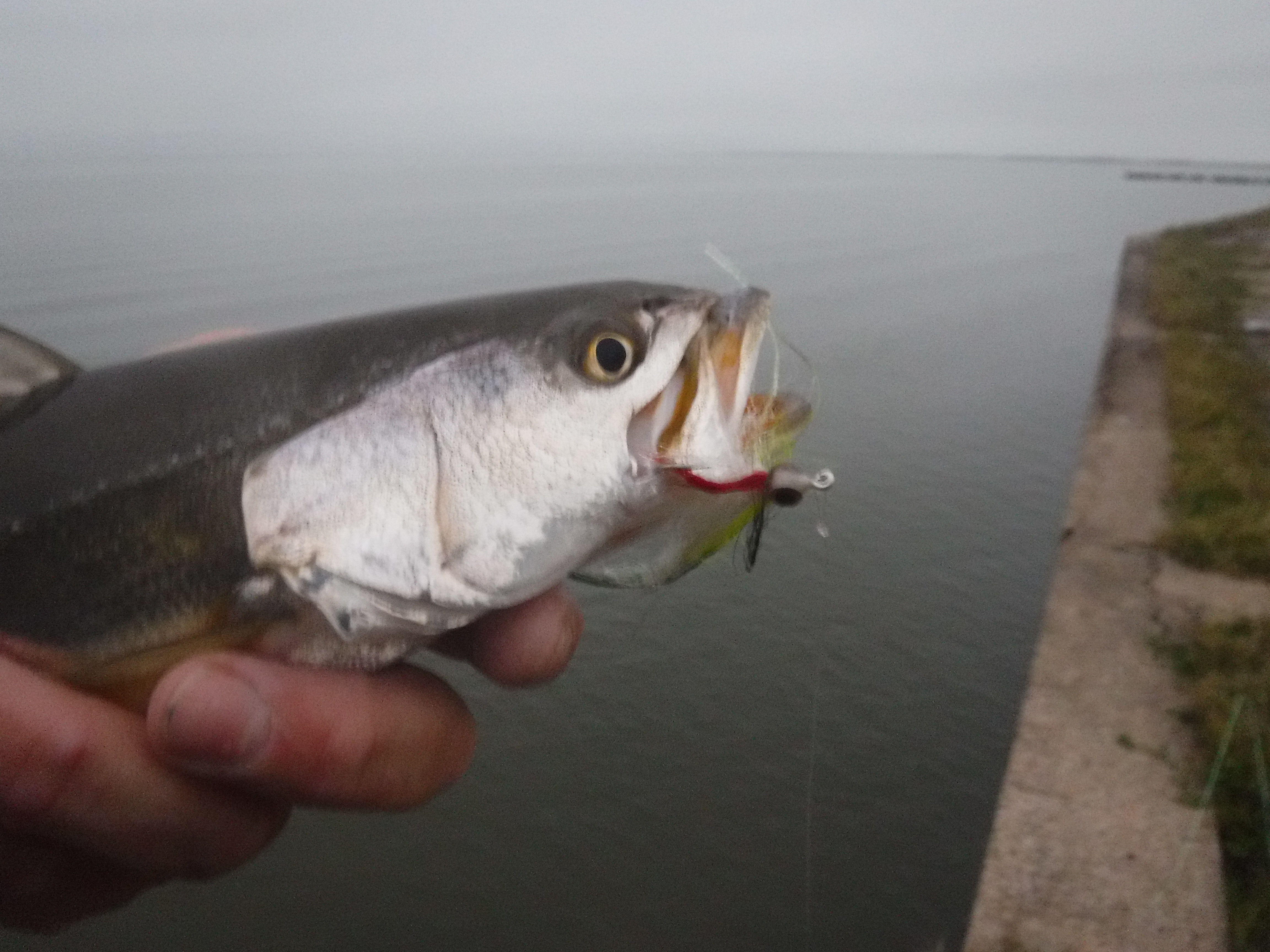 Right from the breakwater