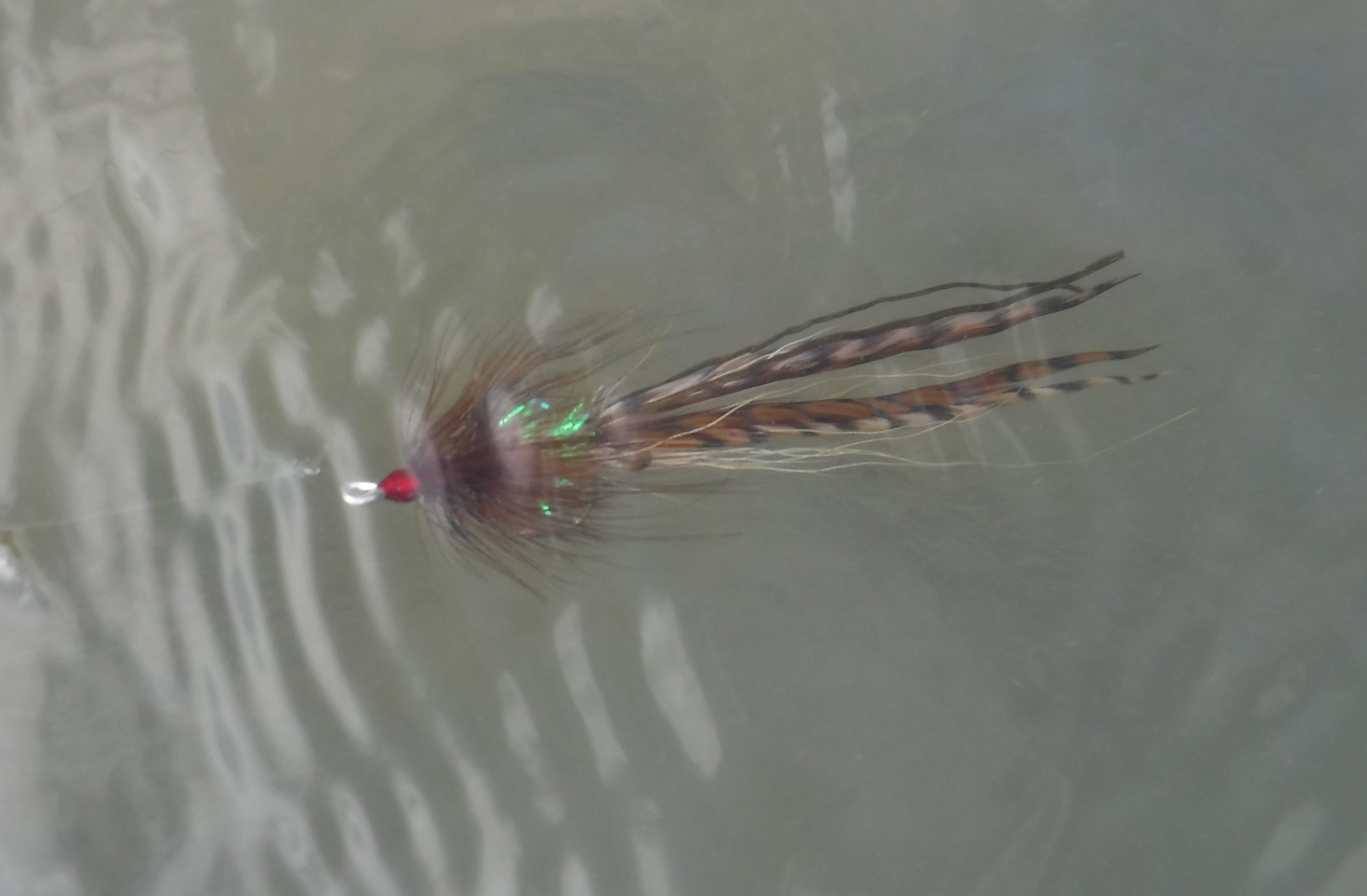 Grizzly Seaducer Variant