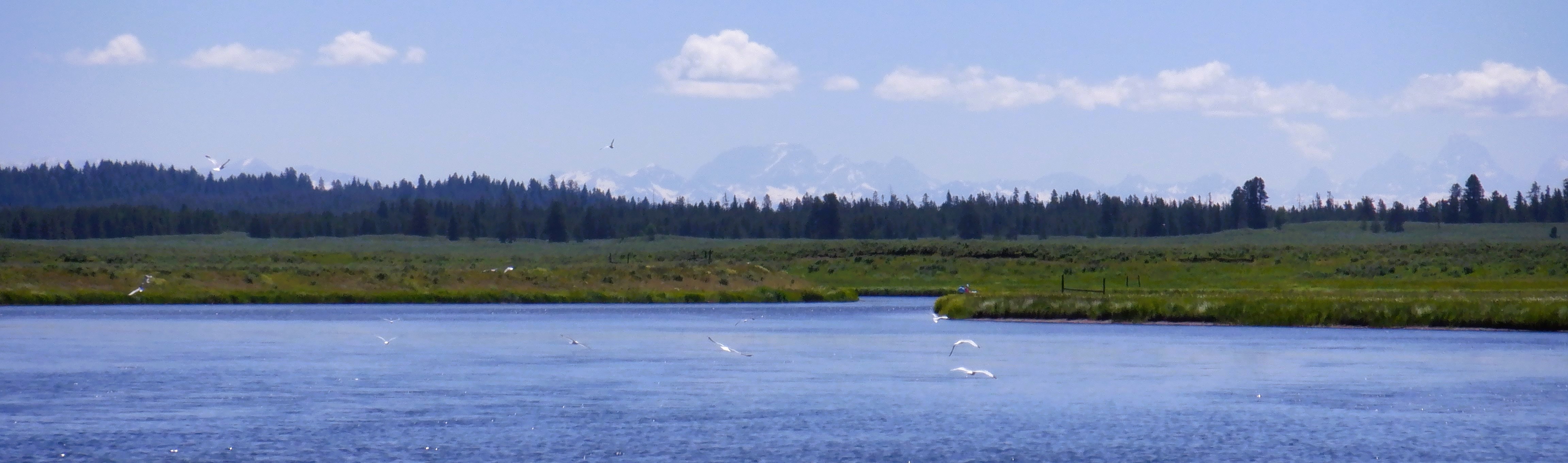 The Tetons Over Henrys Fork