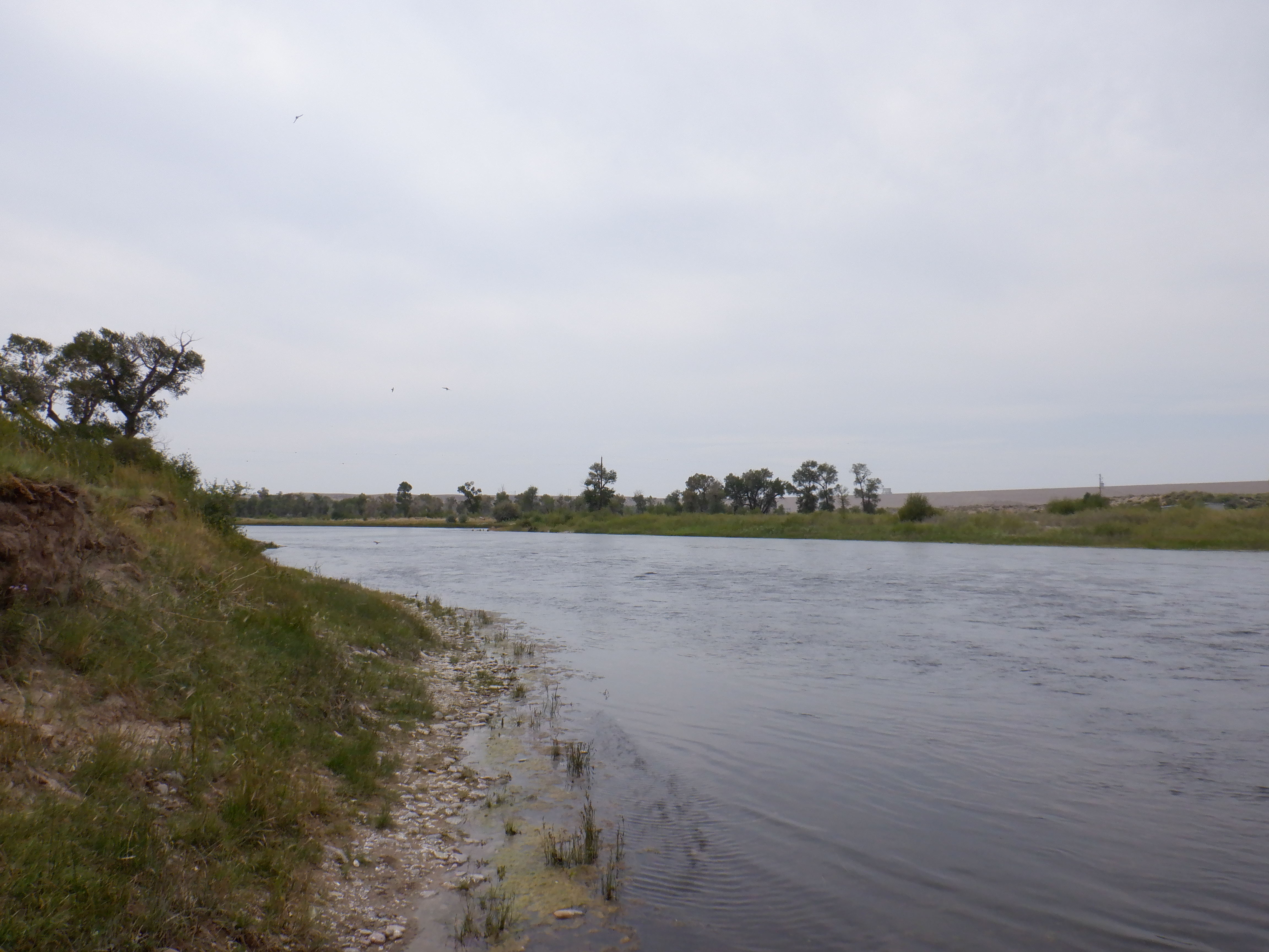 The Green River above Weeping Rock