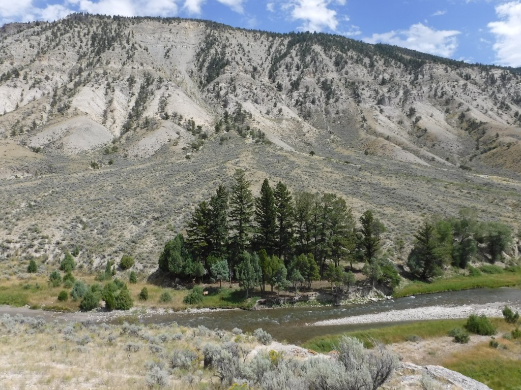 The Gardner River in 2015