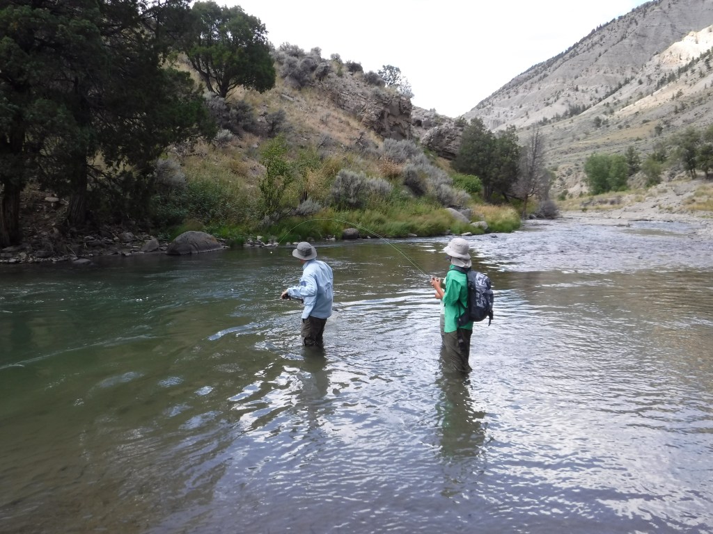 A guide lands a fish for a kid on the Gardner River