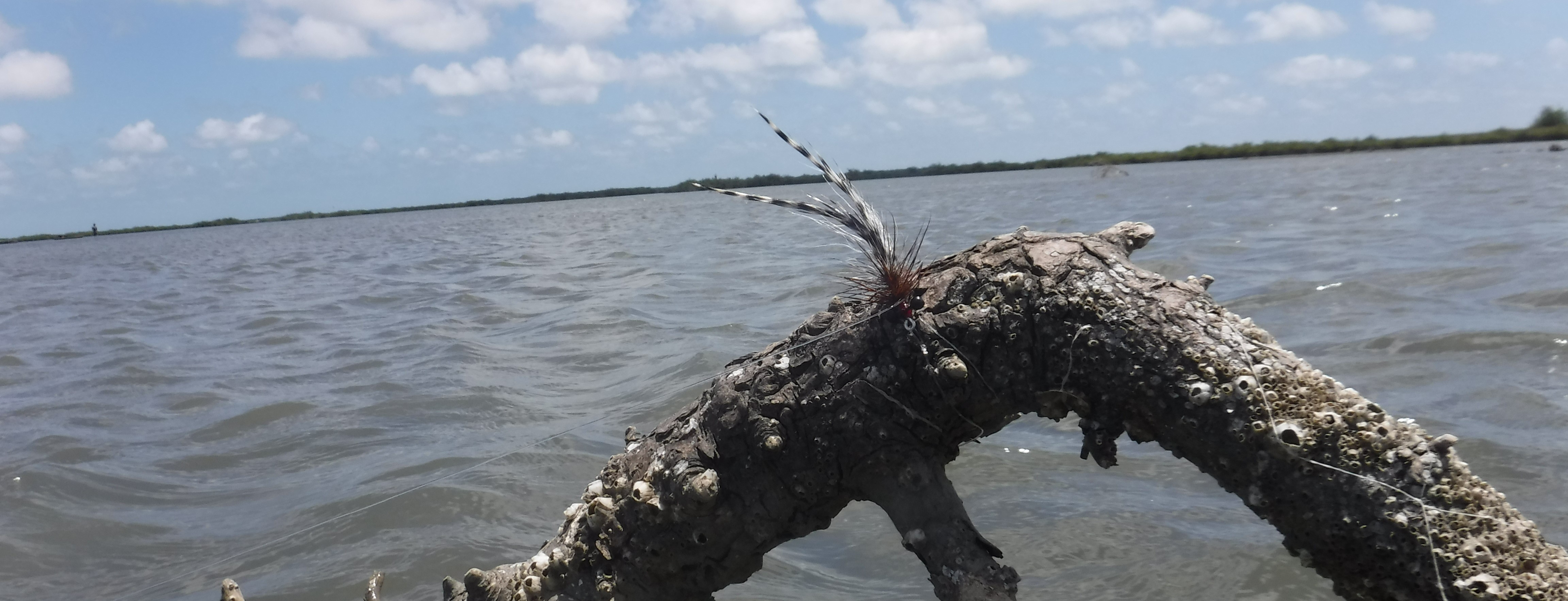 Redfish Bay Seaducer
