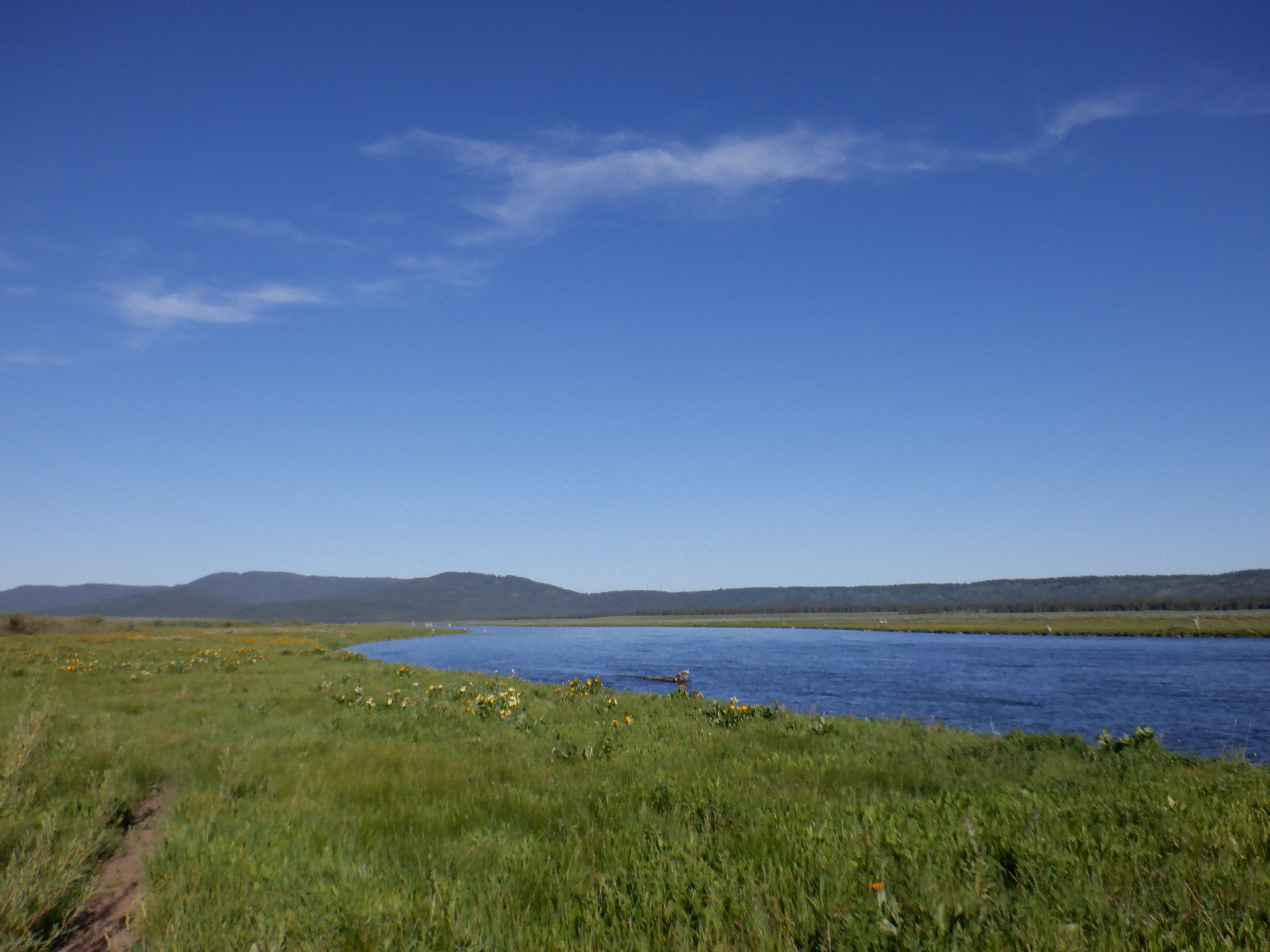 Lots of water on the Ranch