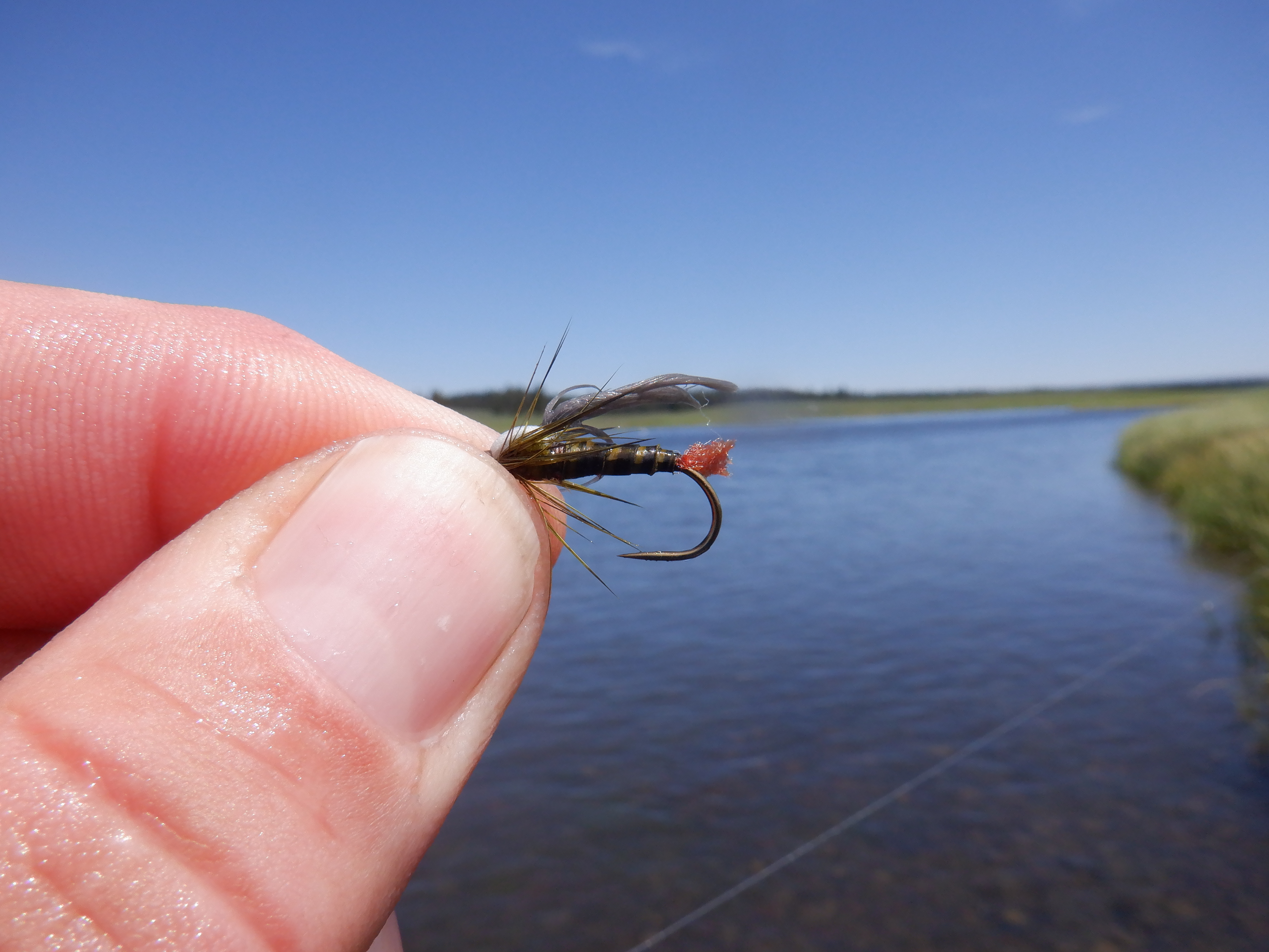 A heavier wire hook for another shot