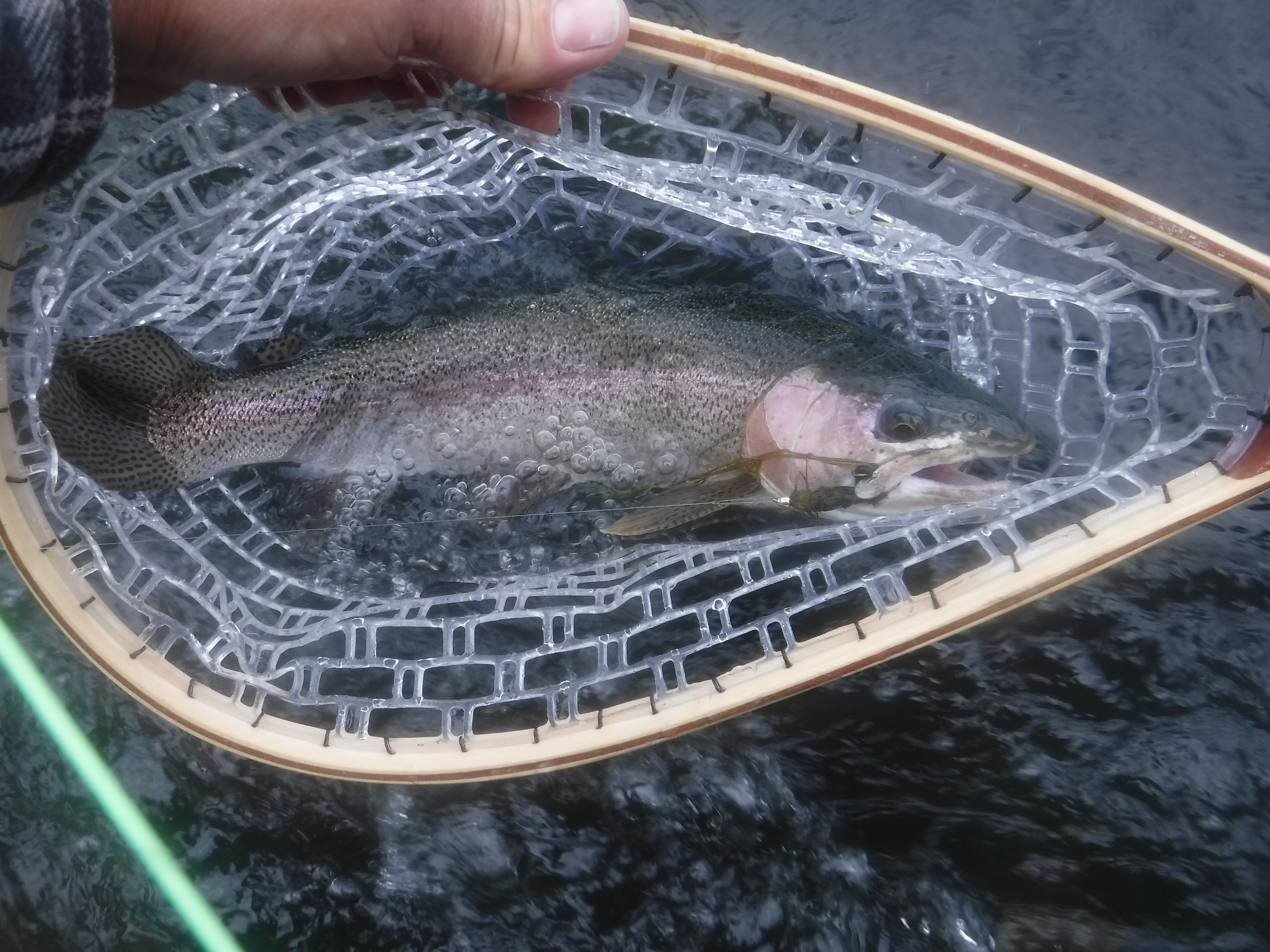 Box Canyon bugger-eater