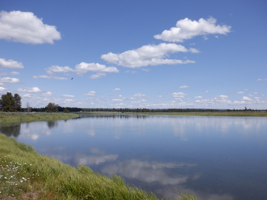 A glassy Henrys Fork river at the Gravel Pit