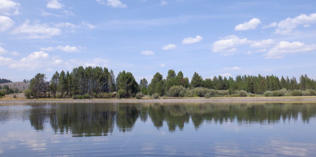 Hebgen Lake South Fork Arm