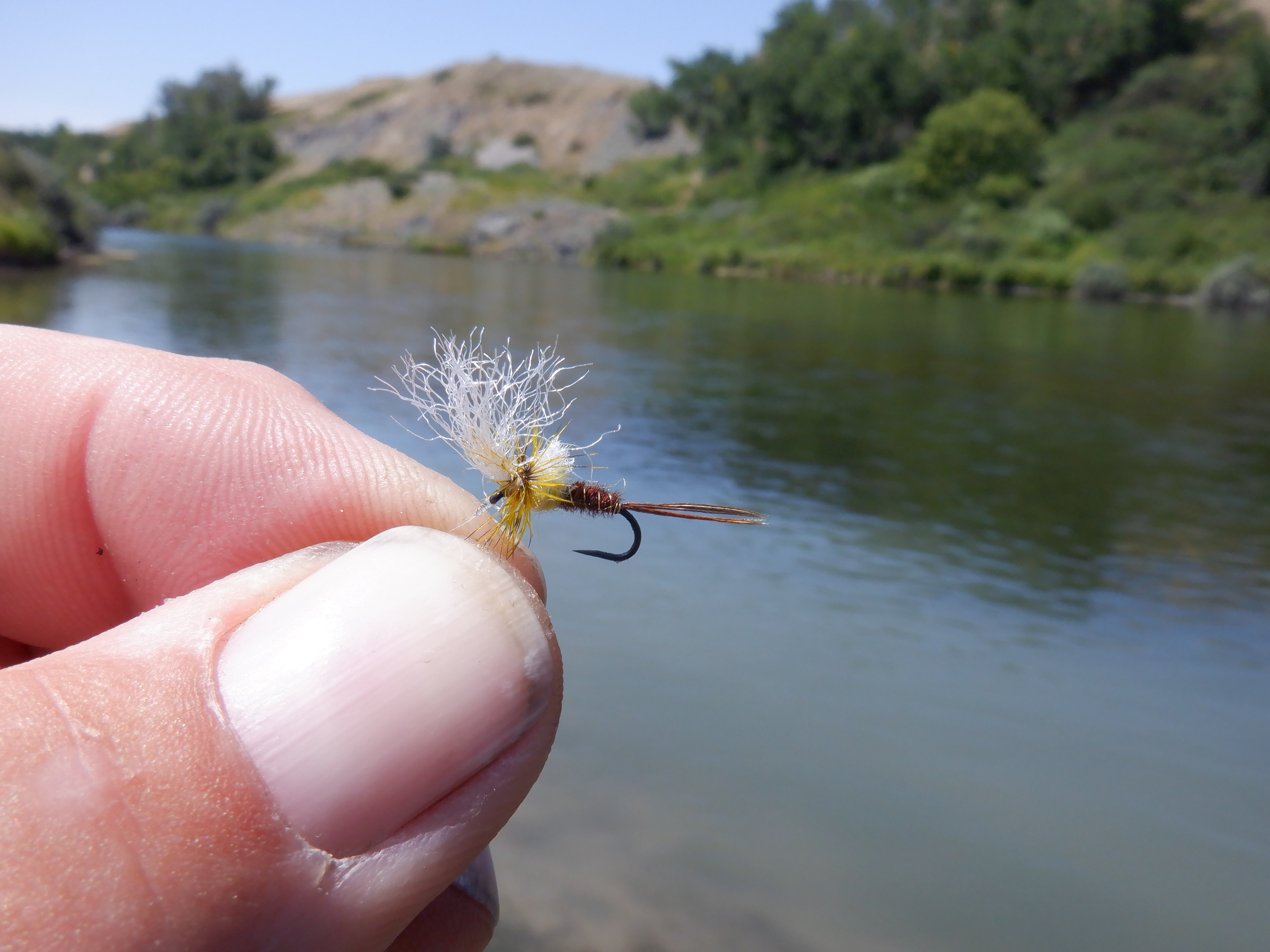 The Quigley cripple PMD... easy to see, stout hook for big fish.